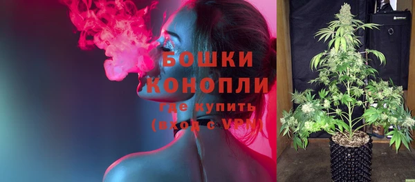 ECSTASY Богородицк